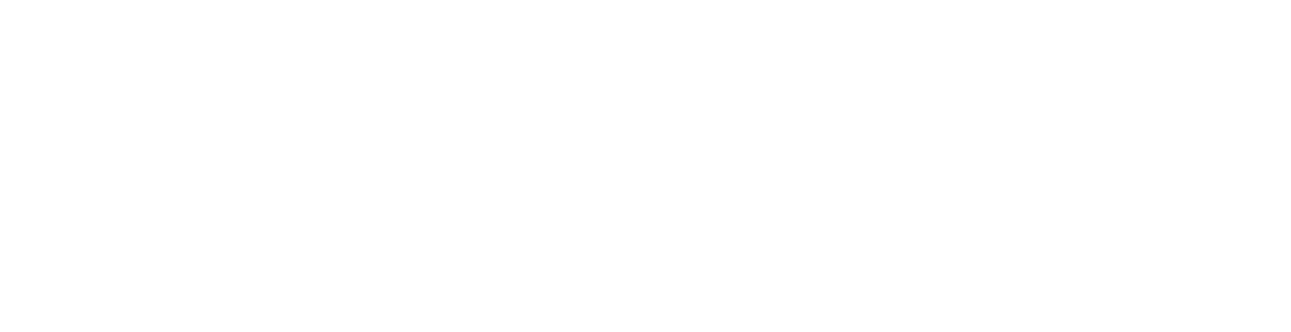 Redinver Logo Blanco